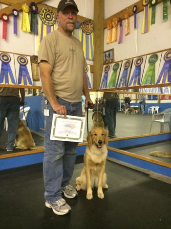 Oakley passes advanced obedience tonight! Sept 15, 2014.
