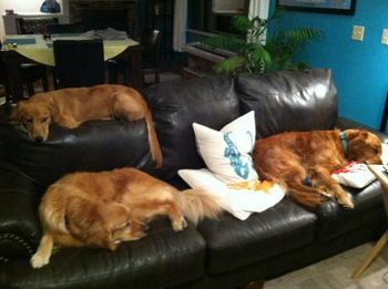 Each of them has their own spot!

