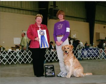 Splash's debut in Novice B - three 1st places, with a 198, 197.5, 198.5, his CD title and a High in Trial in Garden City - March 08

