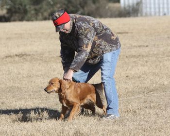 Trying out Lure Coursing
