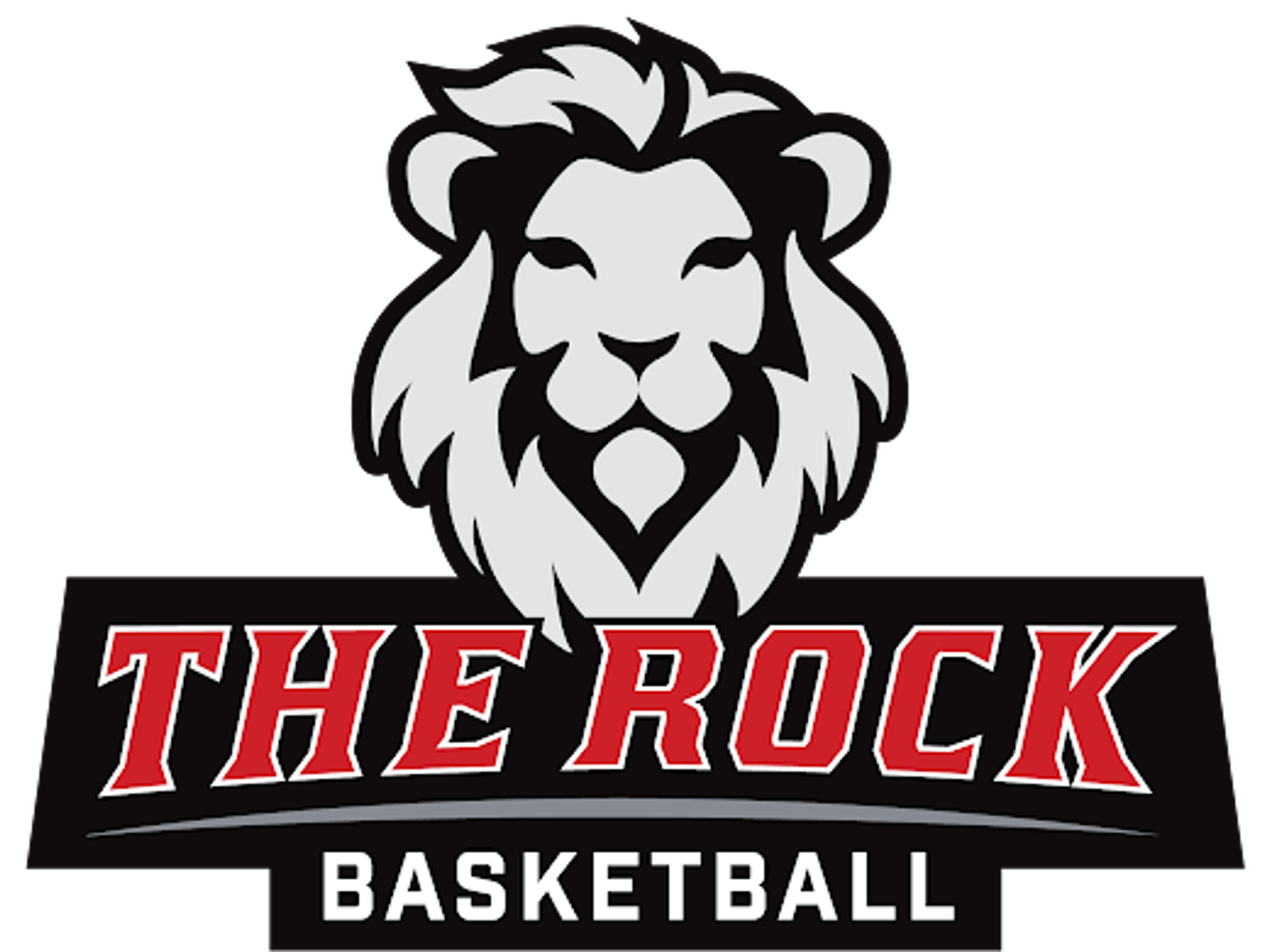 the rock basketball logo