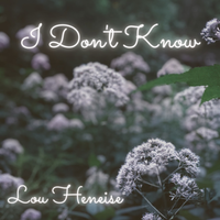 I Don't Know by Lou Heneise