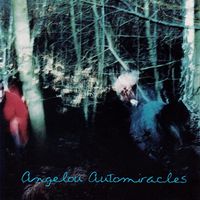 Automiracles  by Angelou