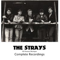 The Strays: Mt Pleasant MI, Complete Recordings by The Forty Nineteens