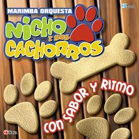 Con Sabor y Ritmo de Marimba Orquesta Nicho y sus Cachorros