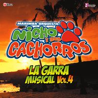 La Garra Musical Vol. 4 de Marimba Orquesta Nicho y sus Cachorros