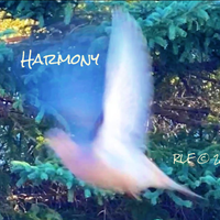 Harmony by Robin Lee Field