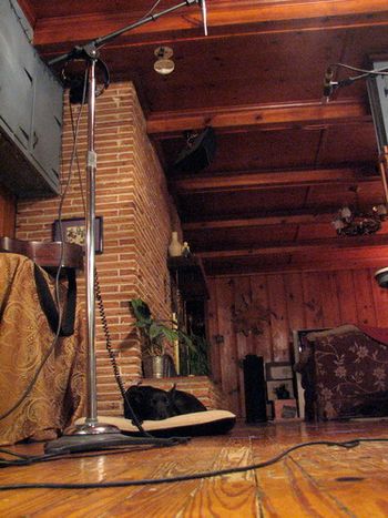 Benita's guitar mic set up in the kitchen (best acoustic sound in here)...Harley, studio dog, trying to be invisible.
