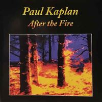After the Fire by Paul Kaplan