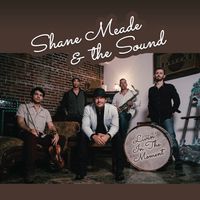 Livin' In The Moment by Shane Meade & the Sound