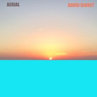 Aerial by David Binney