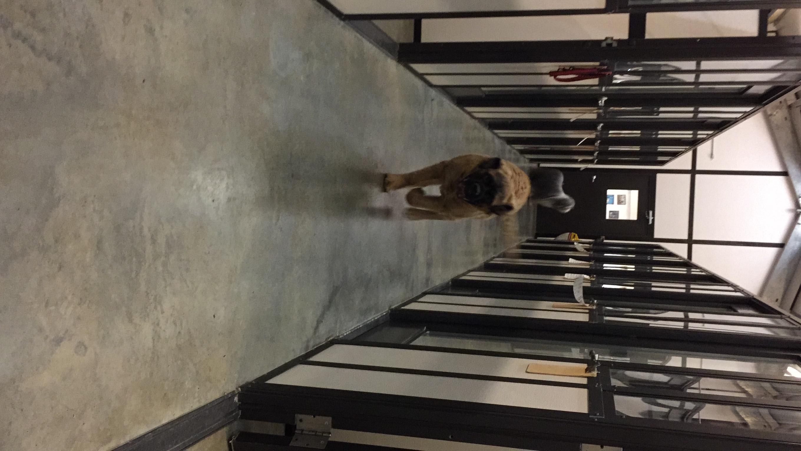 Happy Days Kennel, Inc.