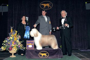 2011 Best in Group Westminster
