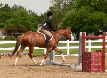 Rider Katie and Stella at their first show. Champion at her first show.

