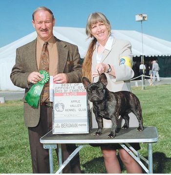 "DELI" Shown winning Best Bred By, Best Opposite Sex and a Major.
