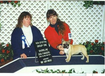 "NICOLE" Shown winning Group 1 at 5 mos old at a very well attended Puppy Match. The next year the second French Bulldog we purchased, "Madeleine", also took Group 1 at the same Shoreline Dog Fanciers Puppy Match. Wow, that was so fun - like Deja Vu.
