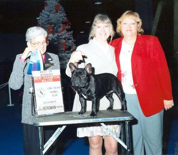 CH. MON PETIT CHOU LE MASON "MASON" Shown winning his final points to finish his Championship at the tough Long Beach Kennel Club competition. This boy is another super sweetie pie. Connie Hughes, handler, co-breeder, and owner, pictured with Jana Gibbs, breeder who did a wonderful job raising this gorgeous litter.

