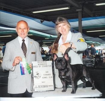 "MACY" SHOWN GOING BEST BRED BY EXHIBITOR
