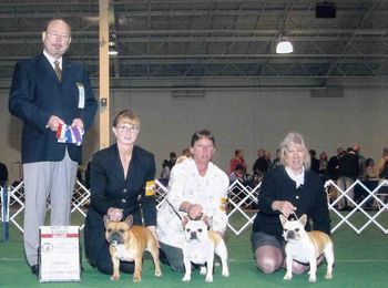 What a great day this was. Shown from L to R are CH.Pawprints-Mizfit Dreamin' Big winning a 4 pt major, and daughter Mon Petit Chou Sophia winning her 2nd 4 pt major and sister CH. Mon Petit Chou Yvette going RWB. Ya, we were all smiles!!!
