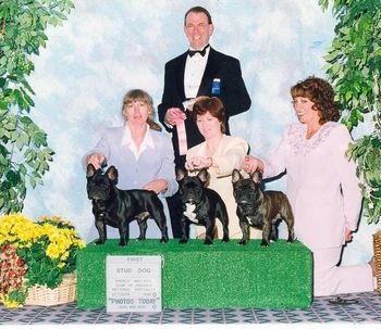 CH. MON PETIT CHOU BING BANG BOOM WINNING THE STUD DOG CLASS AT THE 1998 FBDCA NATIONAL. WHAT A THRILL WITH A VERY NICE ENTRY IN THIS CLASS. CH. MON PETIT CHOU BING BANG BOOM (LEFT) Handled by Connie Hughes, Owner CH. MAGIC TIME BEING THERE OF SYMPA (MIDDLE) Handled by Carrie Morgan, Owner CH. MON PETIT CHOU AT MAGICTIME (RIGHT) Handled by Karen Adams for Eric and Linda Jacobs
