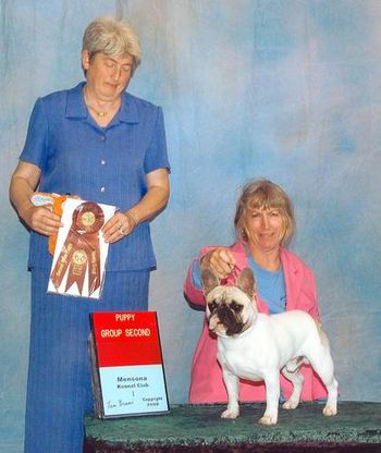 "CHEVY" Shown winning a Group 2 from the Puppy Groups at the Supported entry show following the 2006 NCFBC Specialty Shows
