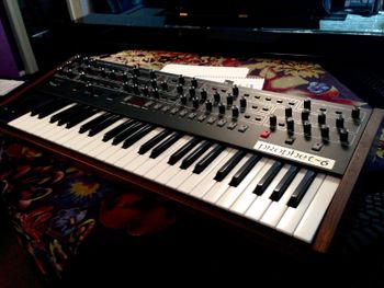 Sequential Prophet 6 synth pic 2
