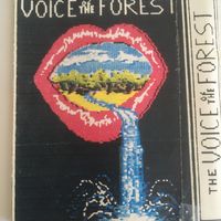 Voice of the Forest by The Voice of the Forest
