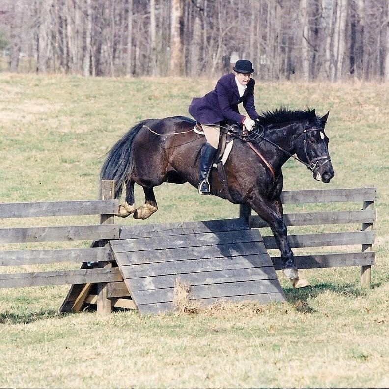 The Fox Hunting Horse