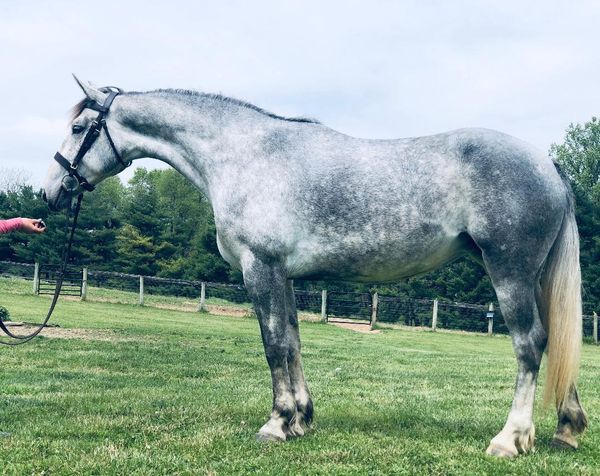 FIONA * $18,000 * Located in PA