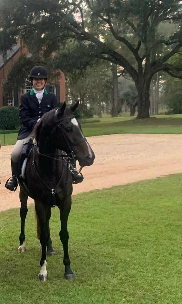 The Fox Hunting Horse First Flight