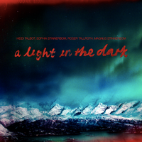 A Light In The Dark: CD