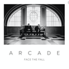 Face The Fall: Vinyl