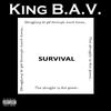 Survival: Signed Survival CD
