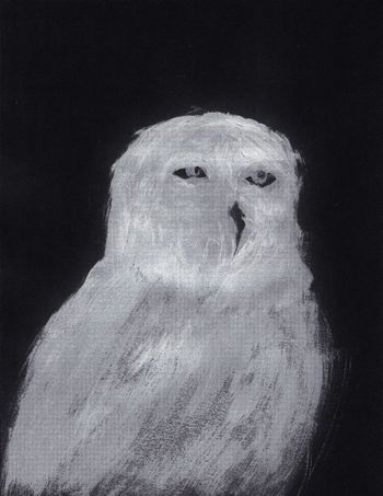 Unimpressed Owl
