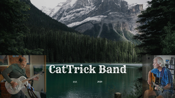 CatTrick Band Near Milford Sound, New Zealand
