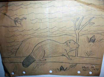 1974 Beaver sketch
