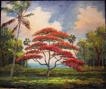 'Royal Poinciana Sailboat' 20 by 24" Oil on board. Lots of knifework. Painted June 22th, 2007
