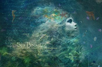Sea Biscuit [purchase here no text] Copyright© Jena DellaGrottaglia-Maldonado 2011
