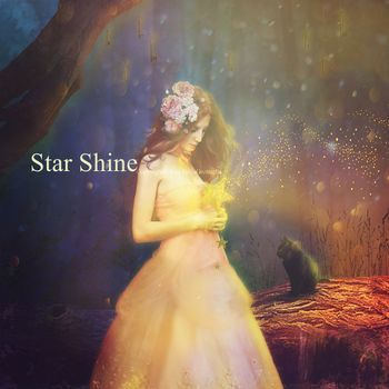 star shine  Copyright© Jena DellaGrottaglia
