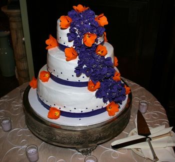James and Diana Engler's wedding cake
