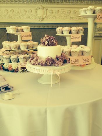 Wedding cupcakes and cake

