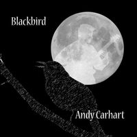 Blackbird (Beatles Cover) by Andy Carhart