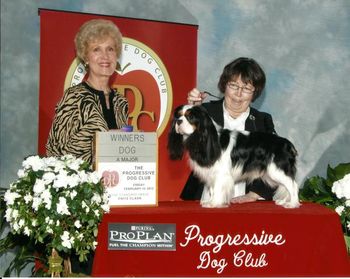 Mockingbird's Double Dutch. Reagan takes Winners Dog at the Progressive Toy Dog Club Show in New York City under the hand of Elaine Mitchell.
