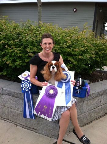 What a weekend in Ashville for our now CH Mockingbird's Beau Coup!!! ​W​ ith his handler Michelle Jones.  ​Sat​ Beau was Best of Winners for a 5 pt major at the Blue Ridge Cavalier King Charles Spaniel Club Specialty.... ​Sunday morning he was Best of Winners for a 3 pt major at the Ashville Kennel Club show..... Sunday afternoon Beau completed his championship going Best of Winners for a 4 pt major!
