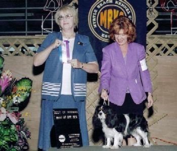 Laurie Wyatt's Sophie was Winners Bitch and Best of Winners at the Myrtle Beach Kennel Club show.
