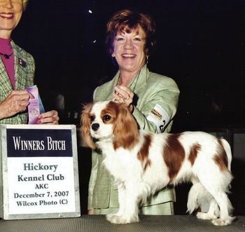 Lillee goes Winners Bitch at the Hickory Kennel Club.
