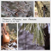 The Frost Is All Over by Patrick Mangan & Friends