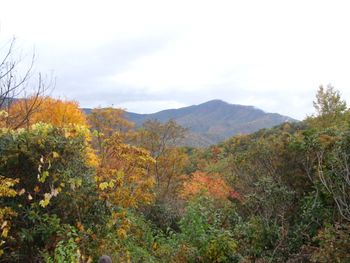 We were in our truck for this picture. On Sat. it rained off and on, so we didn't do any riding, but that was ok, we were able to do some site seeing. This is on the Blueridge Parkway.. Just gorgous. I know I've used the words beautiful, gorgous, fantastic, a lot. But view after view, whether on horseback or in the truck, just stunning! Thanks Mark, Pearl, Brock and Clay for inviting us on such a great trip!!
