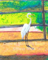 Crane at Moonlight Beach