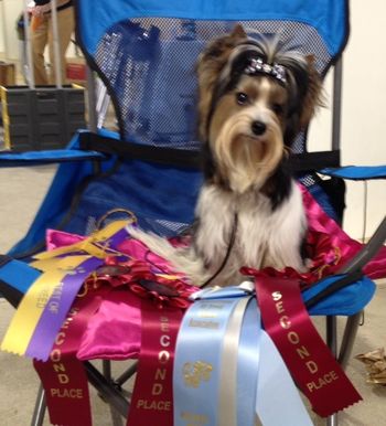 Foster had a good day at the show!
